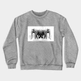 Two Elephant Cry Abstract Crewneck Sweatshirt